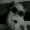 Shiroi_999