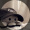 Chill_Octo