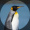 Penguin001