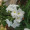 Sarthak_Jain_2275