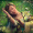 ha_ngan_4482