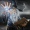 Ash_Burn_9714