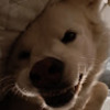 Max_Karlsson_8529