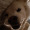 Max_Karlsson_8529