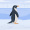 Monalisha_Parvin