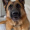 Leo_gorgry_6728