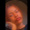 Kathryn_Agholor