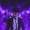 Dan_Dangwam_3140