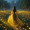 Amalsum_Laiba