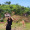 Killi_Labo