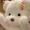 DaoistYoyPQ8