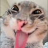 Dexperple