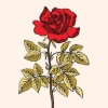 Anamika_Basnet