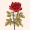 Anamika_Basnet