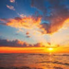 Edwin_Devasahayam_3790