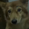 Dungka_Sa_Far_Away
