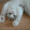 Laily_7665
