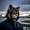 cregantheblackwolf