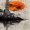 heavy_metal573