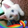 Gina_Marie_Pettitt_4861