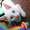Gina_Marie_Pettitt_4861