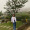 Aurelia_RD