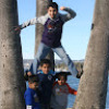 Ameer_Dekheel