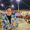 Leo_Phan