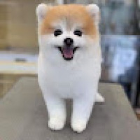 ジャック・オー・ランタン