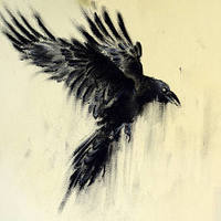 Immortal_Dark_Crow